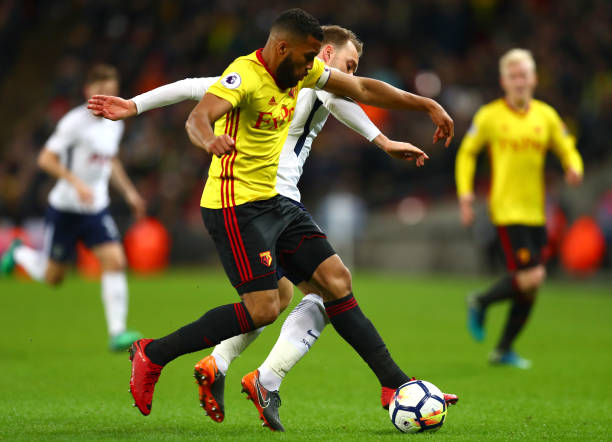 名字如明星 名字如明星